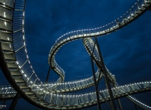 Markus Poch - Tiger and Turtle